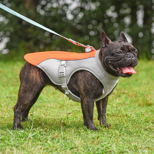 Premium Dog Cooling Vest